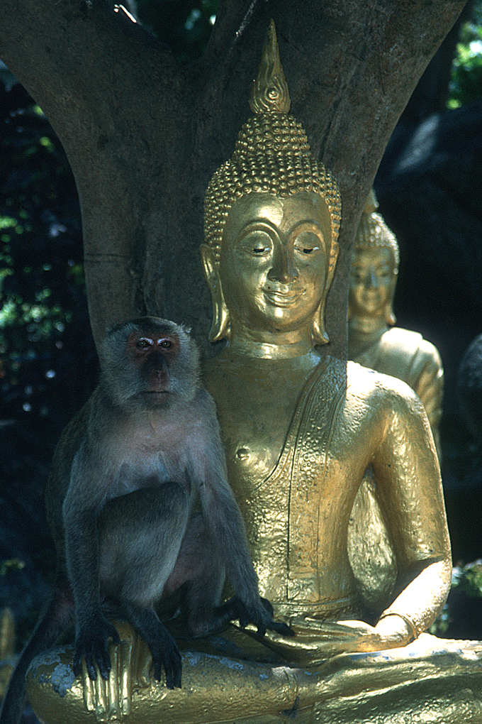 Thailand, Amphoe Hua Hin1996