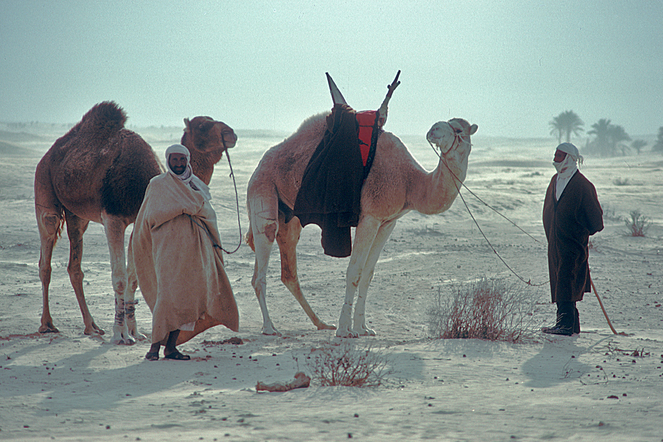 Tunesien Djerba 1991